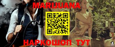 индика Лесосибирск