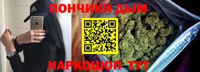 индика Лесосибирск