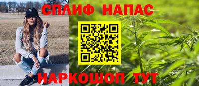 индика Лесосибирск