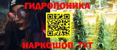 индика Лесосибирск