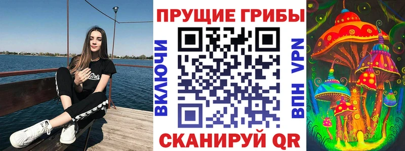 купить  сайты  Волгодонск  Галлюциногенные грибы ЛСД 