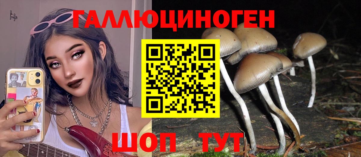 Псилоцибиновые грибы мицелий Волгодонск