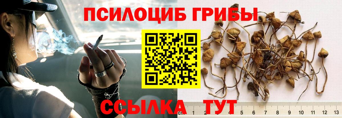 Галлюциногенные грибы GOLDEN TEACHER  Псилоцибиновые грибы ЛСД  Волгодонск  Вход с VPN 